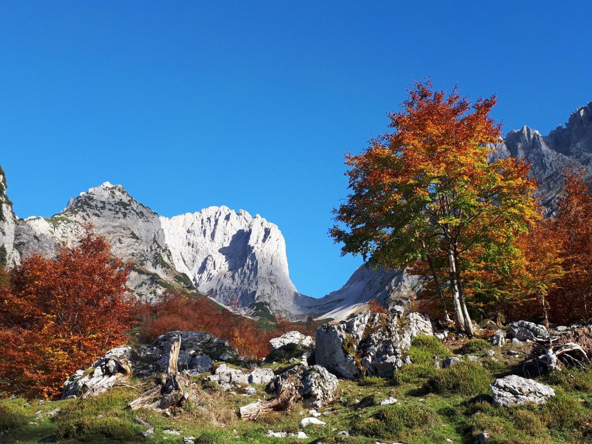 Apartamento Haus Strobler Going am Wilden Kaiser Exterior foto